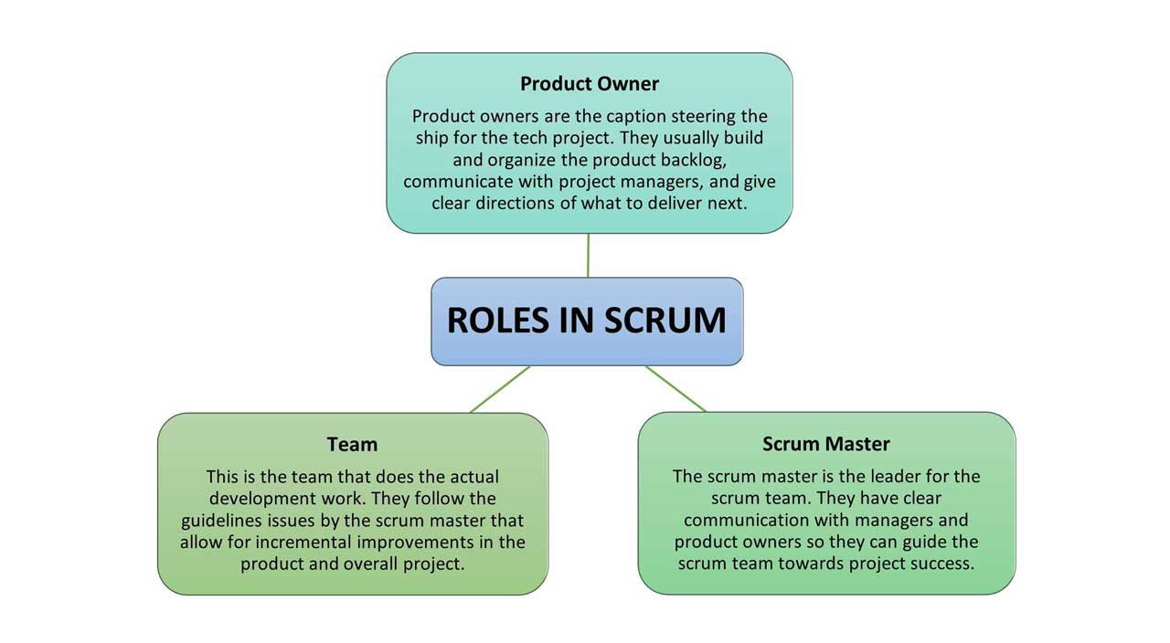 Diagram showing the different roles in Scrum. 