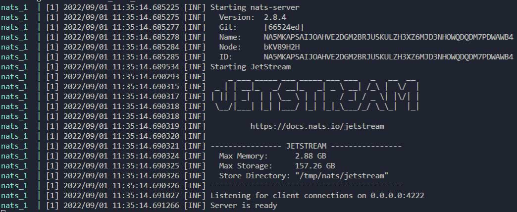 Screenshot showing starting NATS server for NATS/Jetstream: Building an Asynchronous Messaging Service.